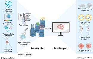 Automated data curation